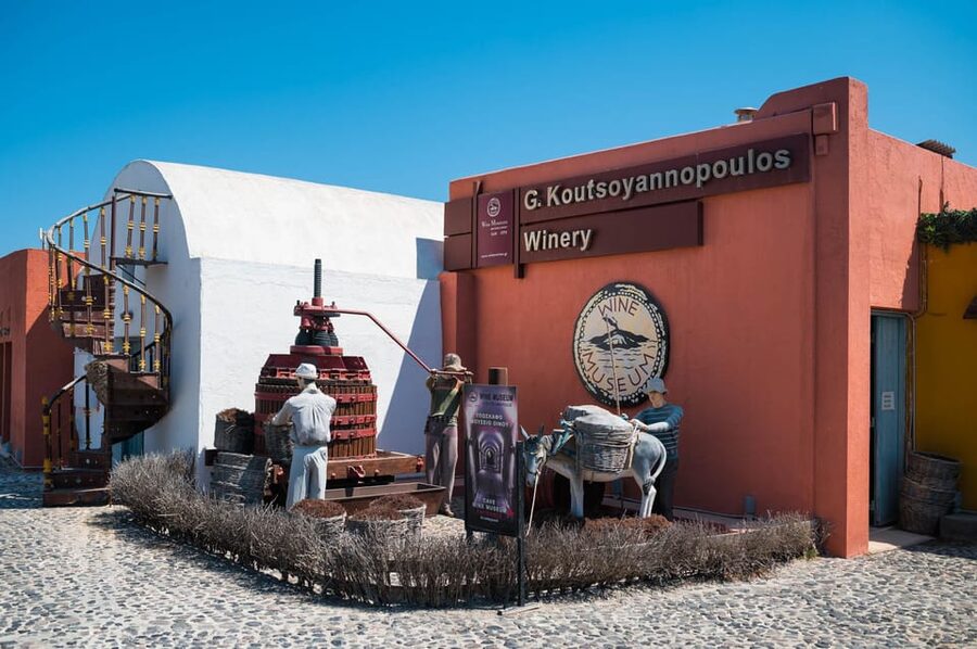 Santorini Wine Tasting and Vineyard Tour - What the tasting is really worth