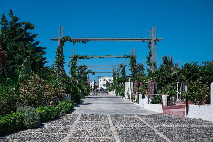 Santorini Wine Tasting and Vineyard Tour - Who will enjoy this tour most