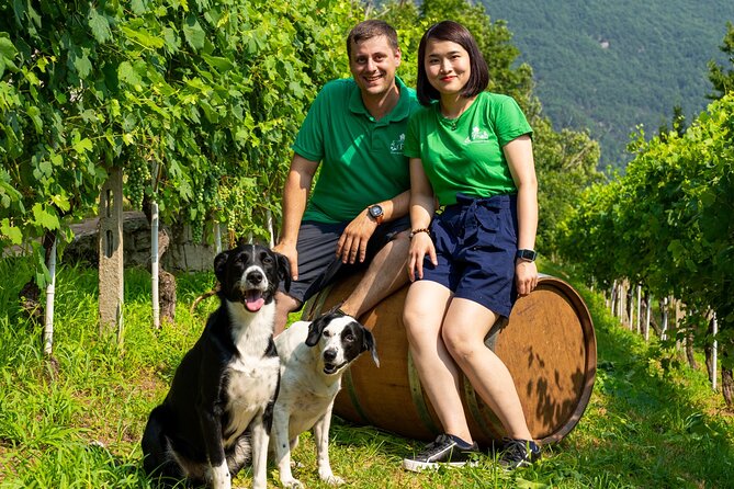 Savor Ossola Wines & Local Treats in a Scenic Vineyard - Booking, language, and practical planning
