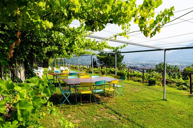 Savor Ossola Wines & Local Treats in a Scenic Vineyard - Should you book it?