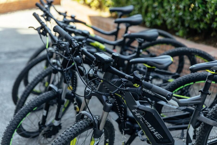 Scenic E-Bike Ride with Vineyard Wine & Meal - The five things that make this ride special