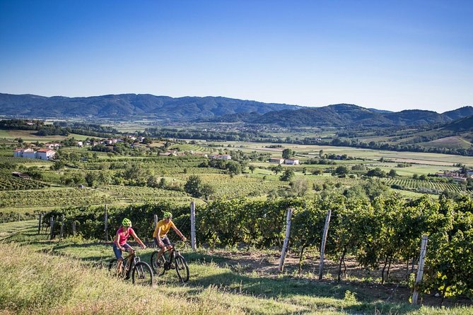 Secret vineyards E-bike tour - Key points to know before booking