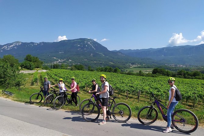 Secret vineyards E-bike tour - Wine from Zelen and Pinela