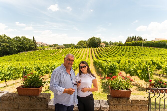 Sella delle Spine Taurasi: Tasting, Vineyard and Cellar Tour - Key points to know before you book