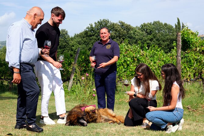 Sella delle Spine Taurasi: Tasting, Vineyard and Cellar Tour - Who will enjoy this private Taurasi visit?