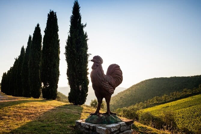 Semi-Private Chianti Wine Tour with Dinner in Tuscany Vineyard - Who will enjoy this Chianti evening most?