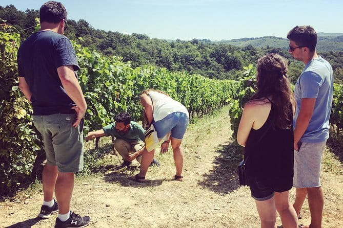Semi-Private Chianti Wine Tour with Dinner in Tuscany Vineyard - Practical details before you book
