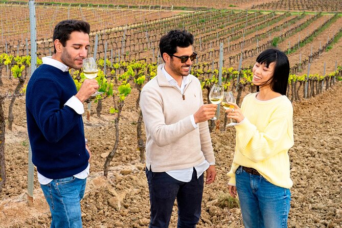 Setúbal: Winery & Fish Market Tasting Tour from Lisbon - Palácio da Bacalhôa and the first wines