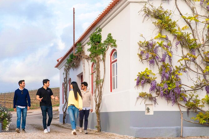 Setúbal: Winery & Fish Market Tasting Tour from Lisbon - Who should book this experience?