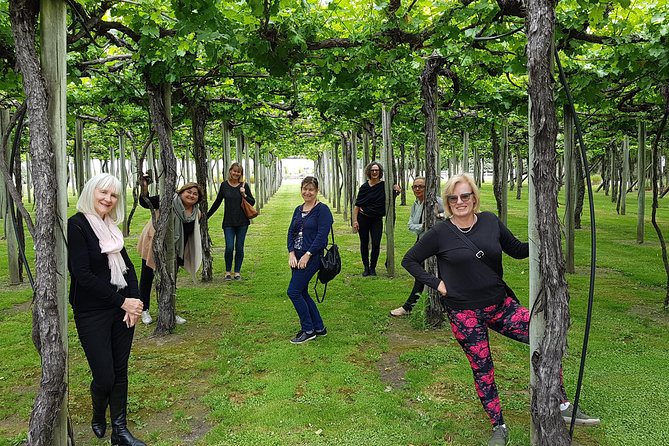 Shore Excursion Marlborough Wine Region Tour from Picton - What the $148.94 price buys you