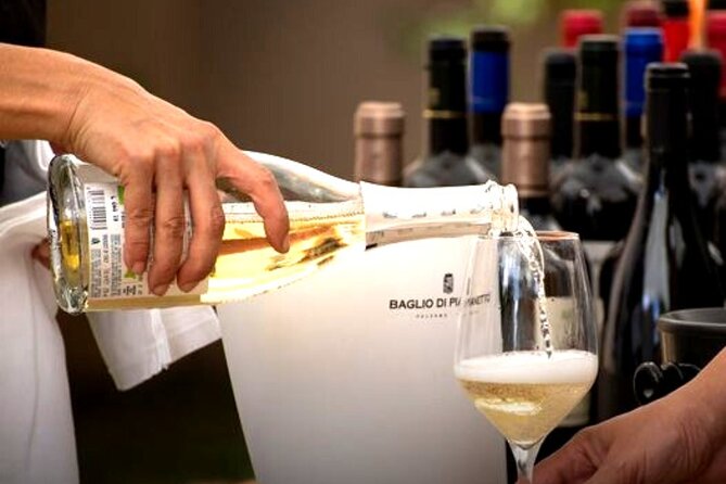 Sicilian Winery Tour with Wine Tasting from Palermo - What the two-hour visit feels like
