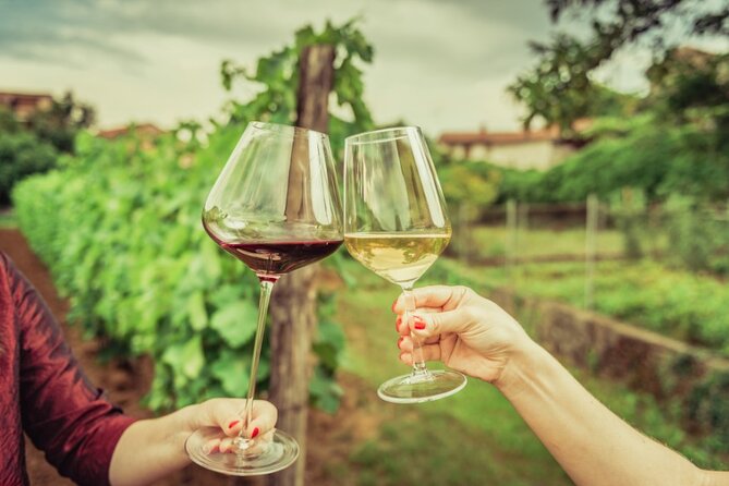 Sicilian Winery Tour with Wine Tasting from Palermo - Who will enjoy this winery outing?