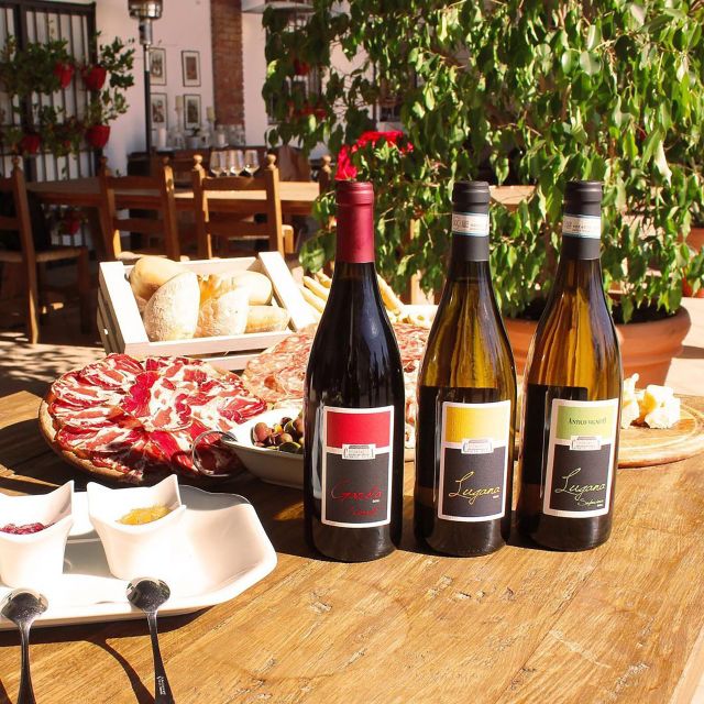 Sirmione: Vineyard Tour with Lugana Wines and Local Tastings - The tasting table: wine with real food