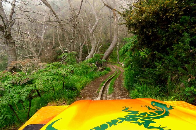 Skywalk, Vineyards, Landscapes and 4x4 Experience in Madeira - Câmara de Lobos and the fishing harbor