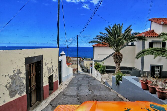 Skywalk, Vineyards, Landscapes and 4x4 Experience in Madeira - Who will enjoy this best