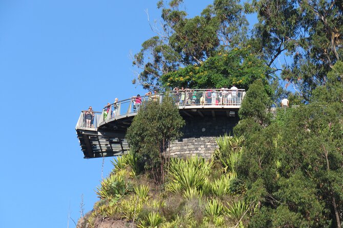 Skywalk, Vineyards, Landscapes and 4x4 Experience in Madeira - Boca da Corrida at 1,000 meters