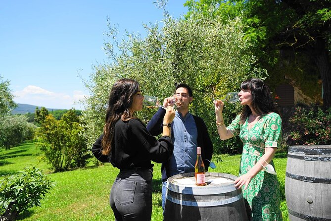 Small group Chianti Classico & Brunello wine region from Siena - Key points at a glance