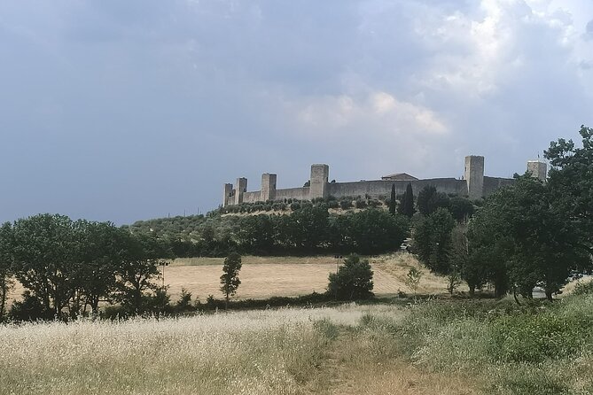 Small group Chianti Classico & Brunello wine region from Siena - Why this Siena wine tour works well
