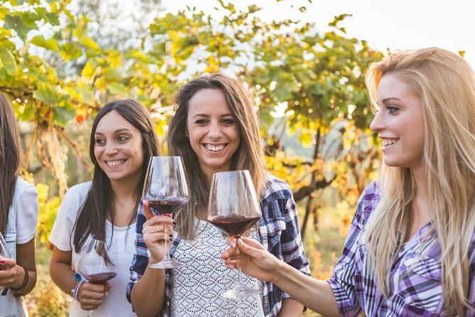 Small group Chianti Classico & Brunello wine region from Siena - Choosing the second winery instead
