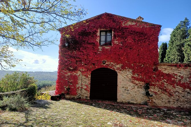 Small group Chianti Classico & Brunello wine region from Siena - What the timing means for your day in Siena