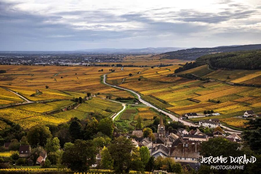 Small group full day tour in the Burgundy vineyards - Key points before you book