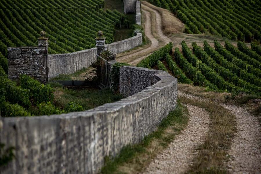 Small group full day tour in the Burgundy vineyards - Morning in the Côte de Beaune