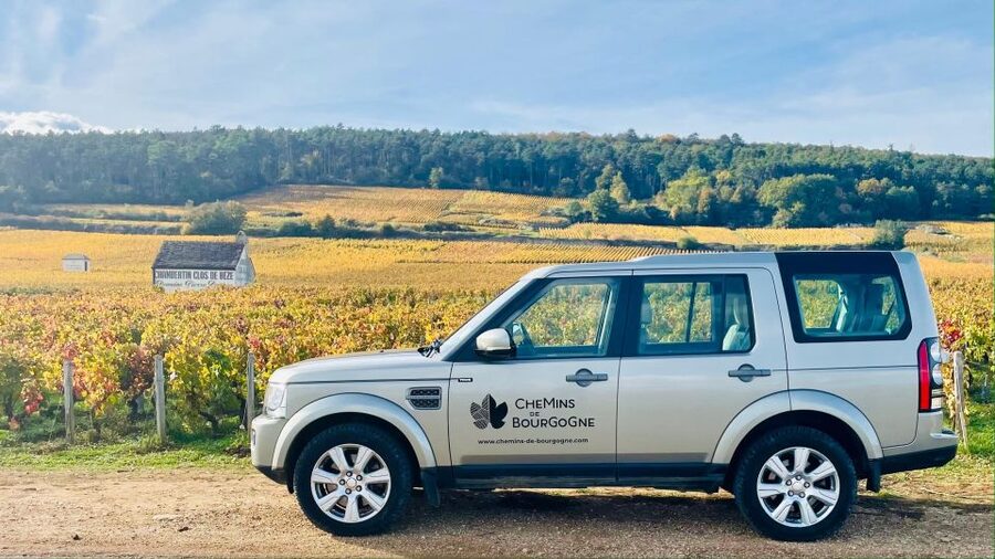 Small group full day tour in the Burgundy vineyards - The first tasting: learning how Burgundy labels work
