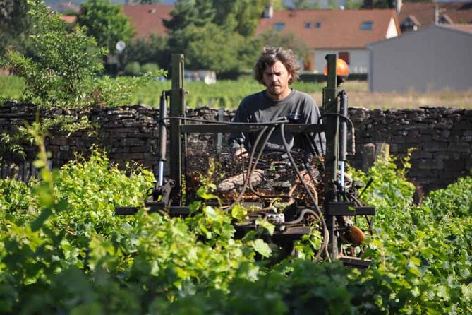 Small-Group Full-Day Tour of Côte de Nuits, Côte de Beaune Vineyards and Beaune Historical District - Transport, comfort, and the eight-person limit
