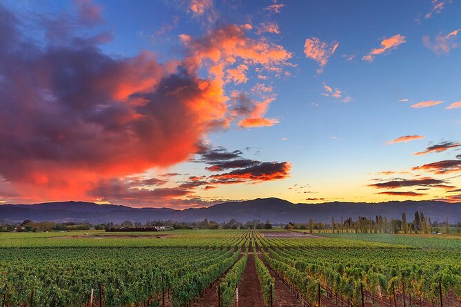 Small-Group Giant Redwoods and Russian River Wine Country Trip - Why this day trip works so well