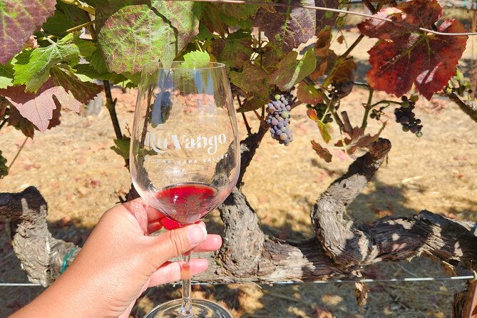 Small Group Napa and Sonoma Half-Day Wine Tour from San Francisco - Two wineries, two different moods