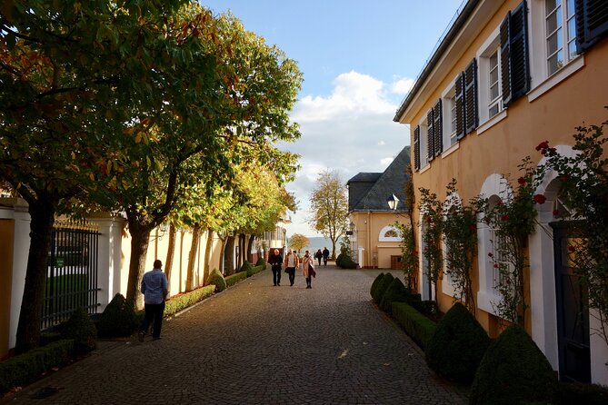 Small Group Rheingau Vineyards Tour with Castles and Abbeys - Why this Mainz wine tour works so well