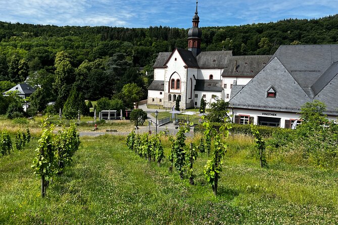 Small Group Rheingau Vineyards Tour with Castles and Abbeys - Is the $199.55 price good value?