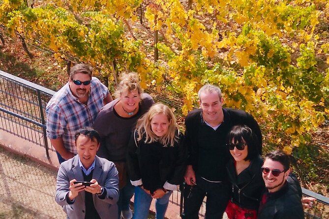 Small Group Rheingau Vineyards Tour with Castles and Abbeys - Who should book this experience?