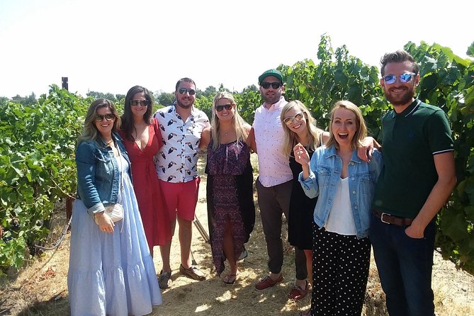 Small-Group Wine Country Tour from San Francisco with Tastings - Starting early from San Francisco
