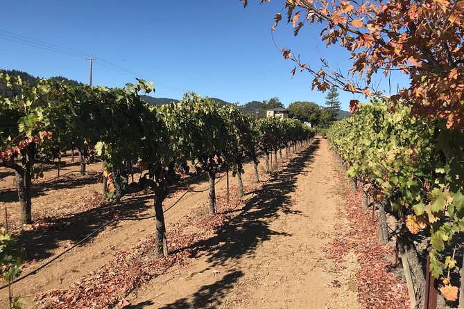 Small-Group Wine Country Tour from San Francisco with Tastings - The guides are a major part of the experience