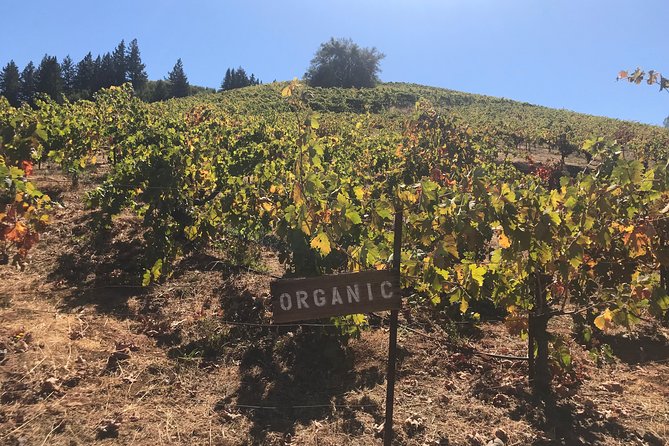 Small-Group Wine Country Tour from San Francisco with Tastings - Who will enjoy this day most?