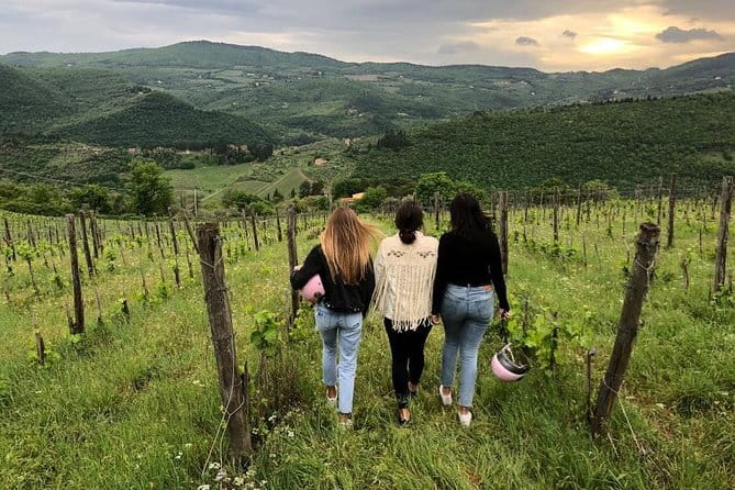 Small Group Wine Tasting in Tuscany with Vineyard Visit - From Florence to Fattoria San Pancrazio