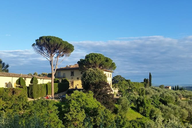 Small Group Wine Tasting in Tuscany with Vineyard Visit - Why the small group matters