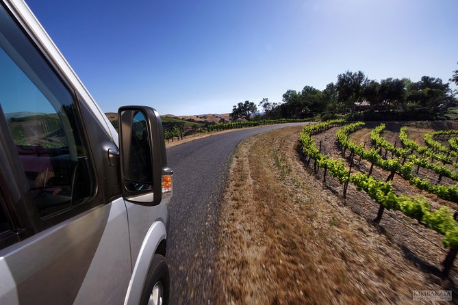 Small-Group Wine Tasting Tour of Santa Barbara Wine Country - Why This Santa Barbara Wine Tour Feels Different