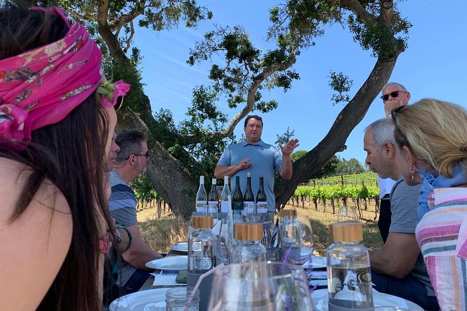 Small-Group Wine Tasting Tour of Santa Barbara Wine Country - Lunch With Sandwiches, Salads, and Real Choice