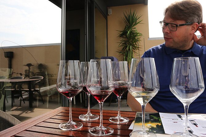 Small Group Wine Tour in Sumadija Wine Region - Guides, group size, and the feel of the day