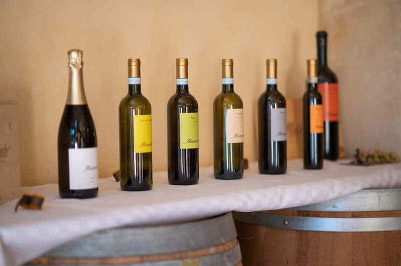Soave: Wine Tasting and Vineyard Tour in Historical Centre - Is $34 a fair price?
