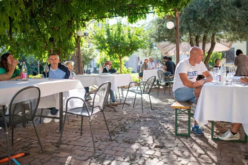 Soave: Wine Tasting and Vineyard Tour in Historical Centre - Should you book the Soave wine tour?