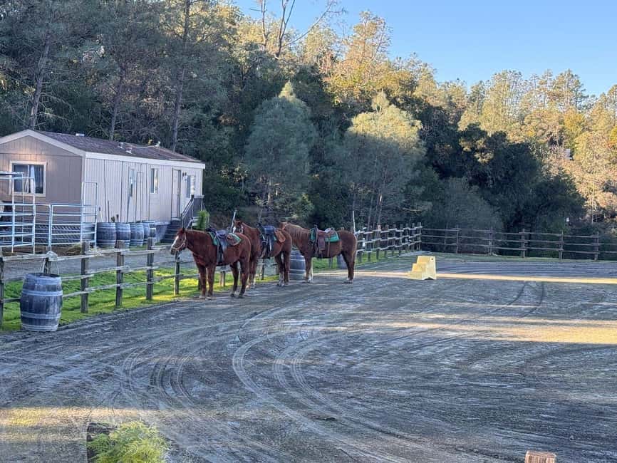 Sonoma County: Wine Country Horseback Riding Adventure - Meeting the horses at Southlake Trail