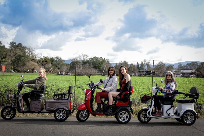 Sonoma Wine Country Electric Trike Tour - 3 hours - What You Get for $175 in Three Hours