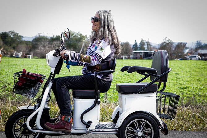 Sonoma Wine Country Electric Trike Tour - 3 hours - Starting Near Sonoma Square