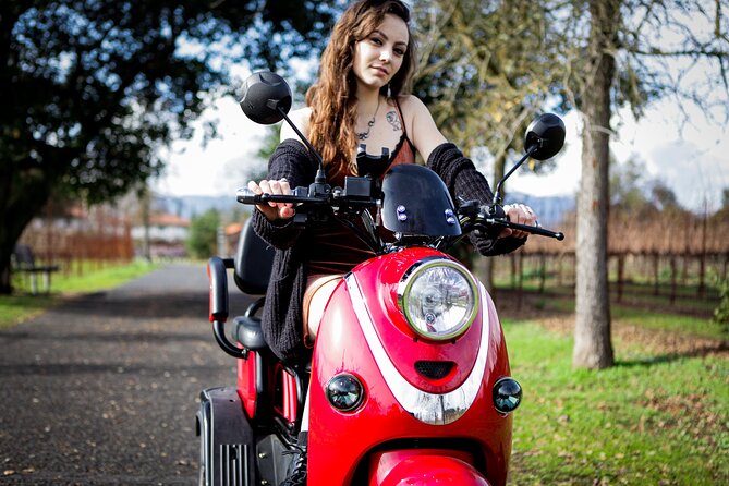 Sonoma Wine Country Electric Trike Tour - 3 hours - Mission San Francisco Solano in Fifteen Minutes