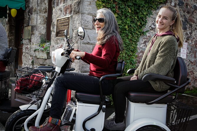 Sonoma Wine Country Electric Trike Tour - 3 hours - Wine at Three Fat Guys or Another Local Winery