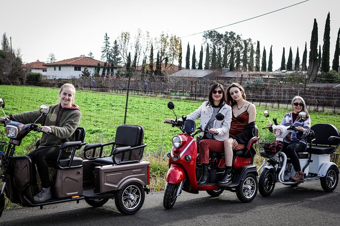 Sonoma Wine Country Electric Trike Tour - 3 hours - Sunset Tours Versus Daytime Departures