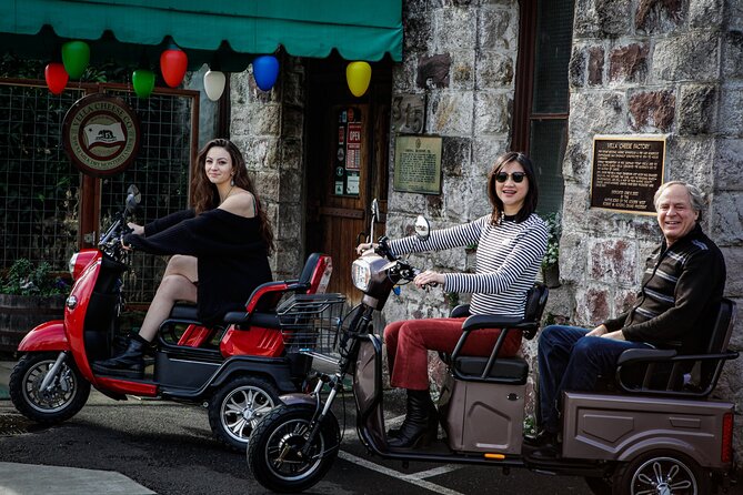 Sonoma Wine Country Electric Trike Tour - 3 hours - Is the Electric Trike Comfortable?